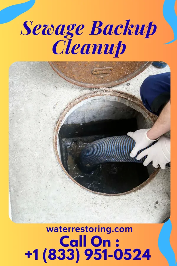 Sewage Backup Cleanup in Lawrenceville, GA